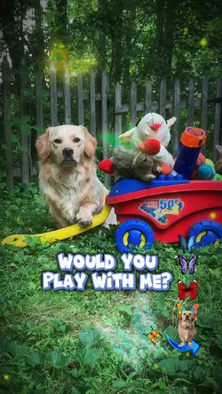 Play with me?🩵💙
