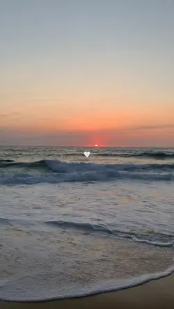 paz e amor