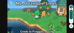 FroggyCrossing