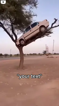 Up a tree 
