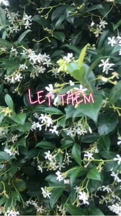 Let them