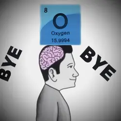 Small vs big brain