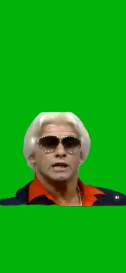 Rick flair 