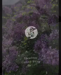 Heather