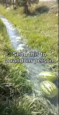 Watermelon River 🔥