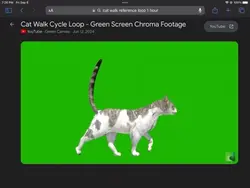 Cat walk cycle