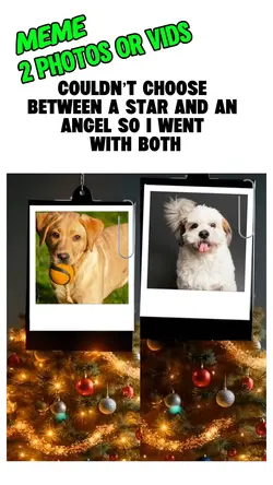 Xmas Meme