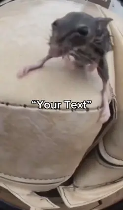 What a rat 💀