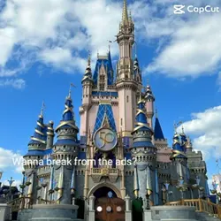 Cinderella Castle👑⭐️👑