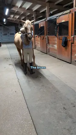 The blues 