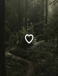 ⋆˙⟡♡