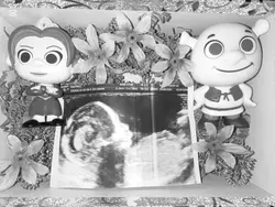 Gender Reveal