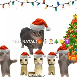 FELIZ NATAL !