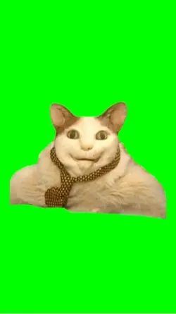 Talking Cat