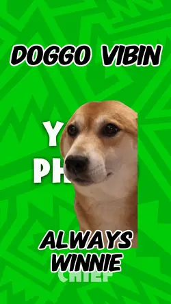 Doggo vibin