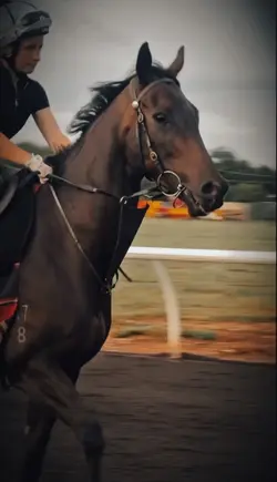 This horse tho ‼️18+‼️