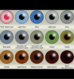 Eye color! 👀