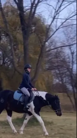 stretchy trot!