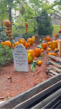 DollyWood train 