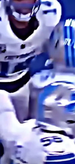 Lions edit