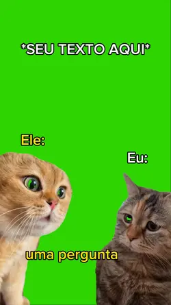 gato discutindo