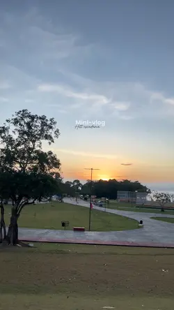 Mini-vlog