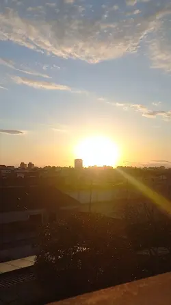 Trend Sunset