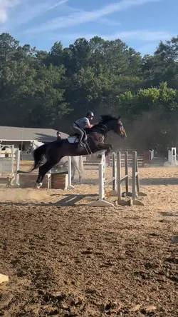 triple bar‼️