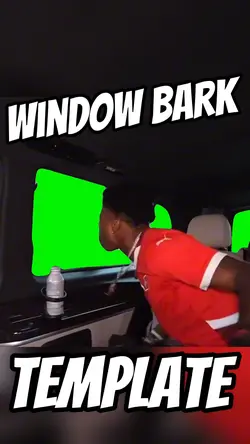 Window Bark 