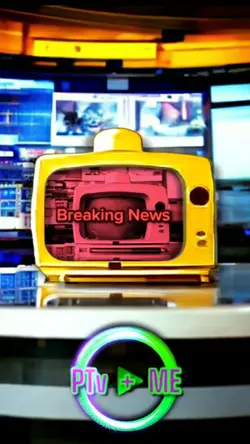 TV Reporter News 