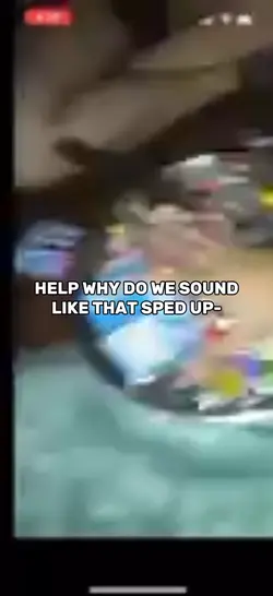 Chipmunk voices fr