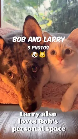 Bob and Larry3