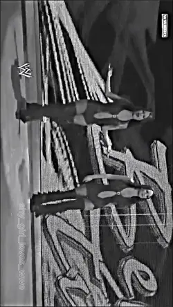 The Bella Twins Edit