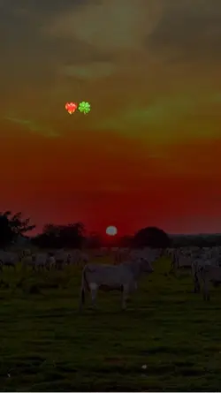 🍀❤️‍🔥