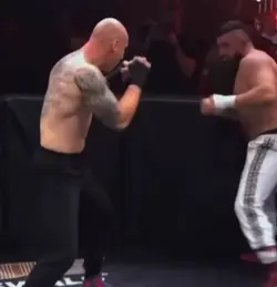 UFC Funny 