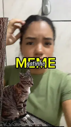 😻 Meme do Gatinho 🐱 