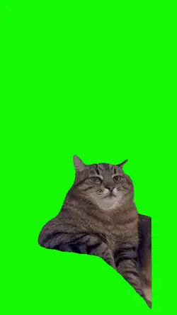 Green screen 