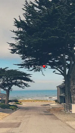 L.A. Daily Vlog ❤️