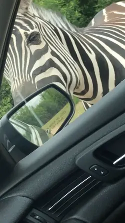 Day Trip