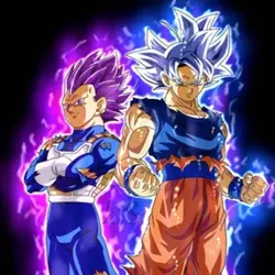 Goku and Vegeta 