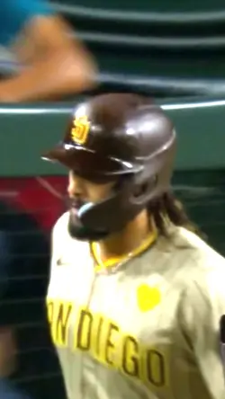 Fernando Tatis jr.