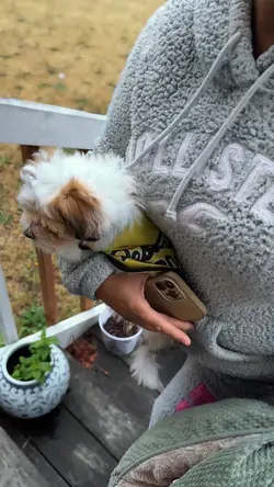 New pupp
