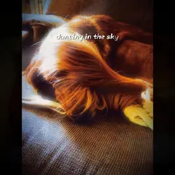 Dancing in Heaven