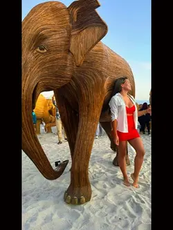 Elephant