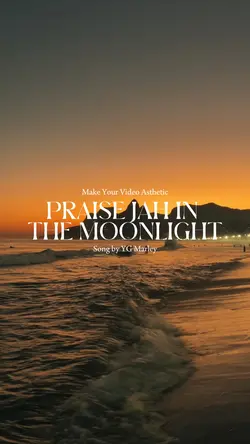 in the moonlight