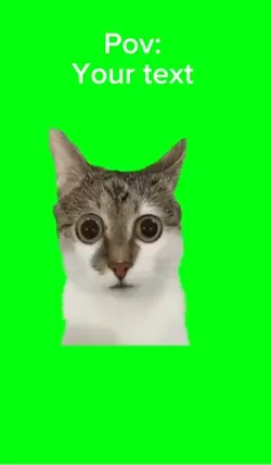 Kitty…