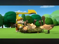 paw patrol~🐾