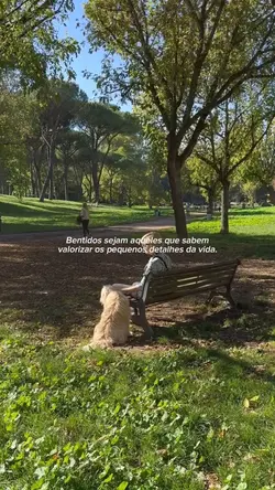 Detalhes da vida