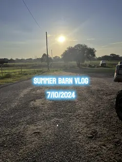 Barn vlog!
