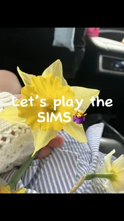 THE SIMS